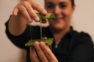 Onderscheidend in de salon <em><u>met Verse Aloë vera</u></em>