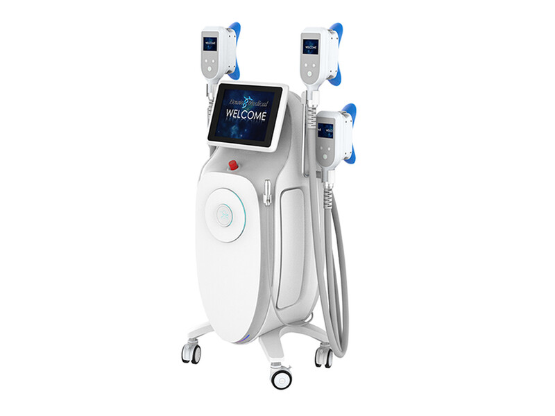 Bowie Cryo-Lipo Polar-Q: veilig en effectief vet bevriezen